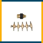 Gamarrilla de Bronce - Imagen 3